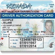 Водительское ID в США