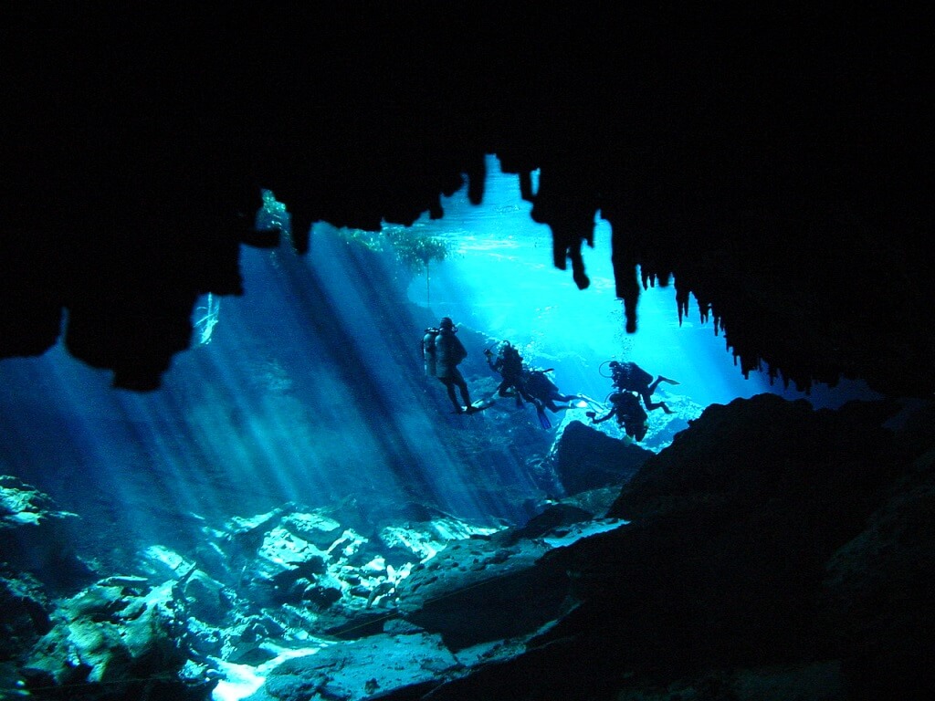 Сертификаты PADI для дайверов